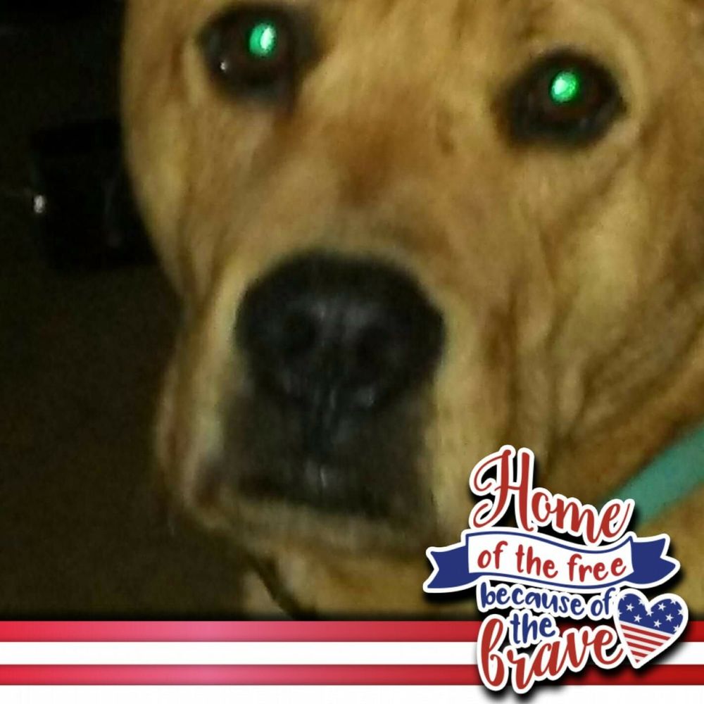 Meet your Posher, Jaimee